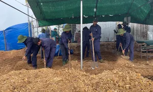 Mộ tập thể 32 liệt sĩ phát lộ khi đào đất chôn ống nước